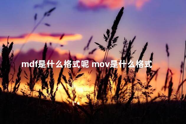 mdf是什么格式呢 mov是什么格式的